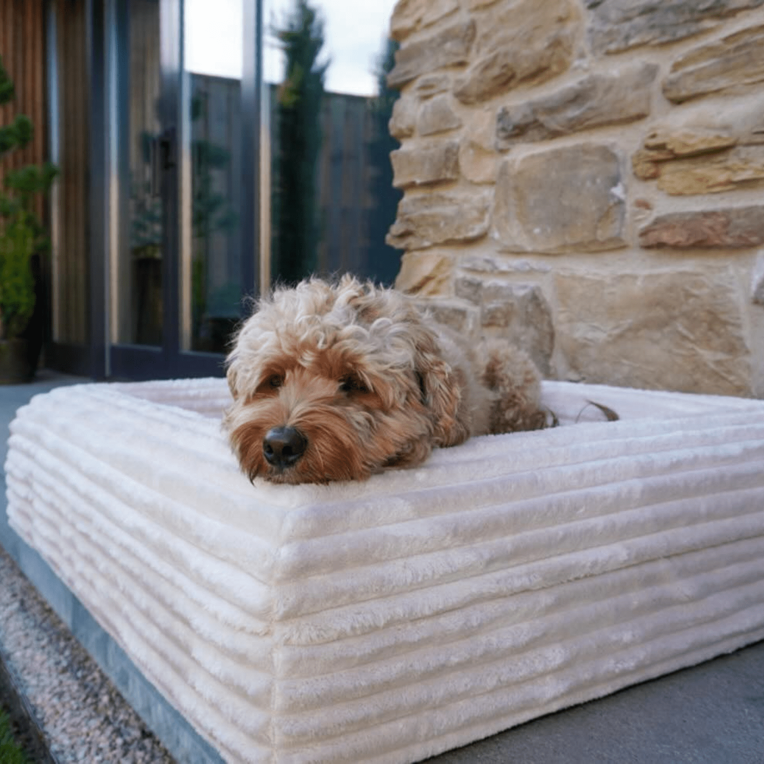 Orthopedische Hondenmand - Puffer Dune - Dreamydog - Hondenkussen