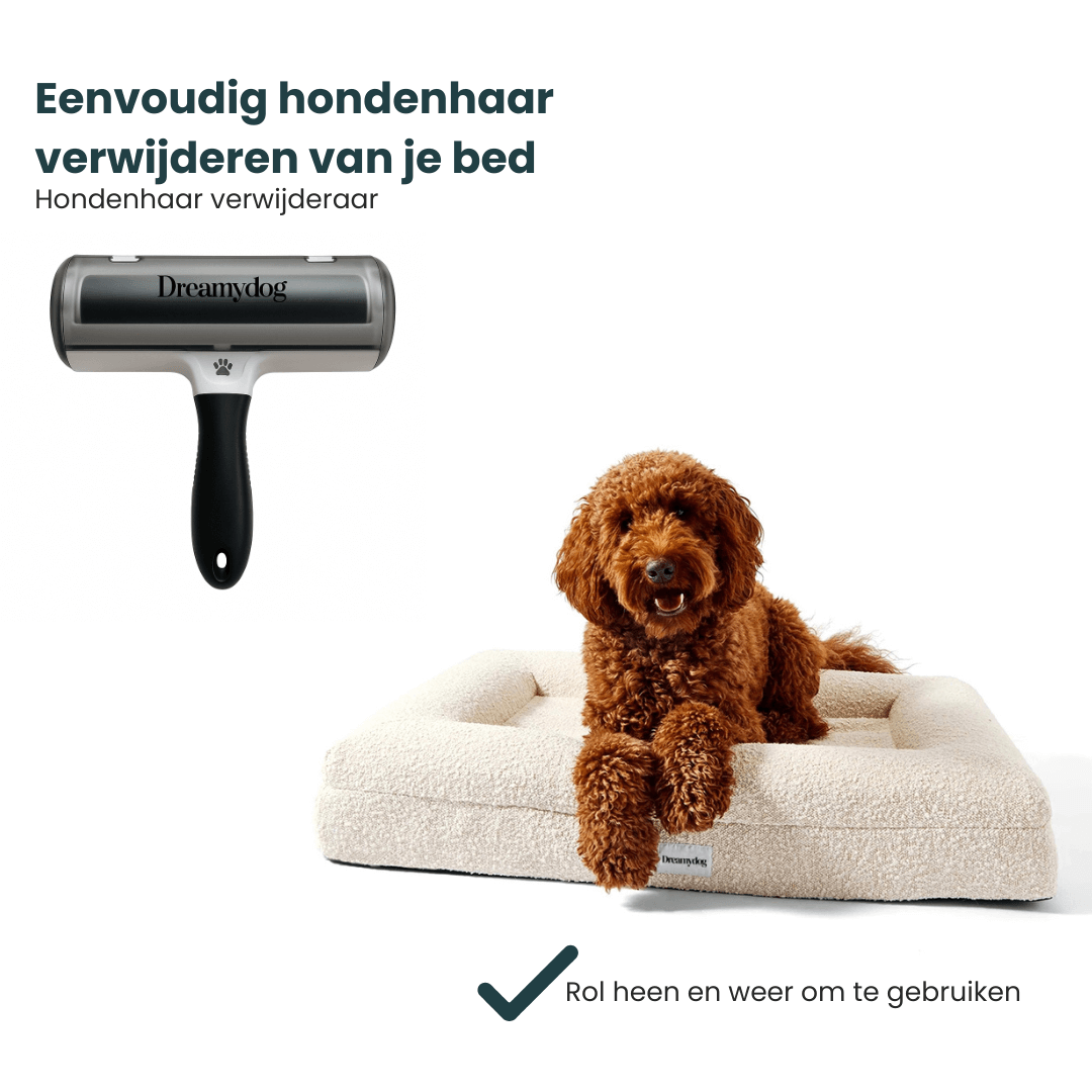 Pluizenverwijderaar voor hondenbedden & meubels - Dreamydog - Accessoires